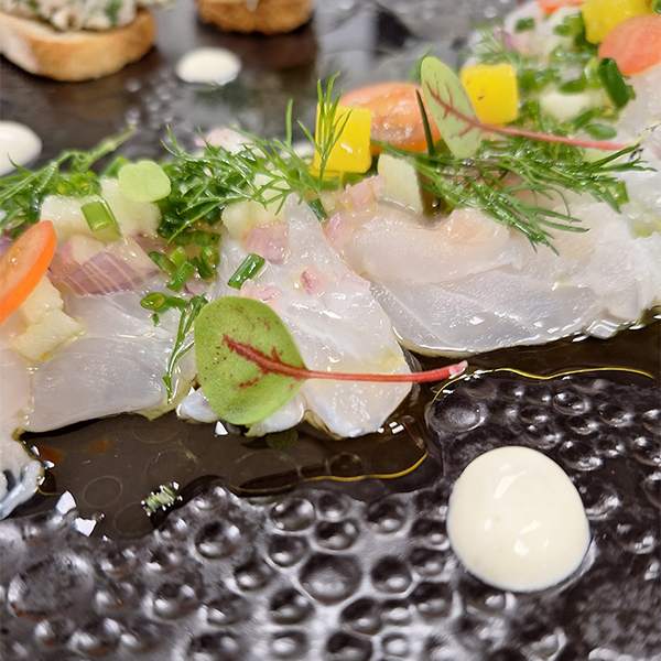 plat_poisson